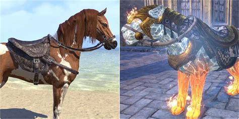 gryphon's gold|paladin horse mount.